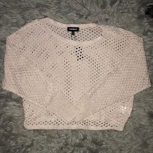 Express Knit Cropped Sweater